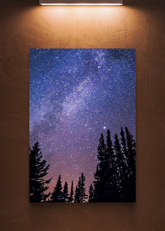 Night Sky