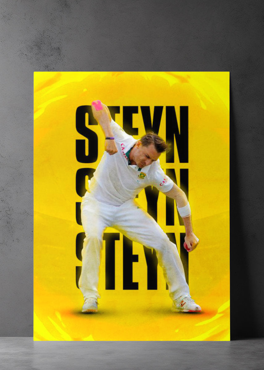 DALE STEYN