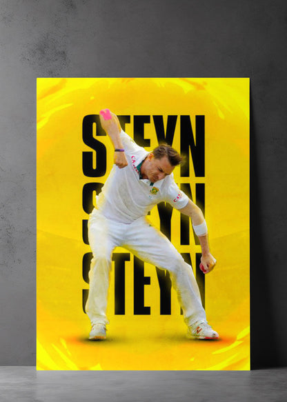 DALE STEYN